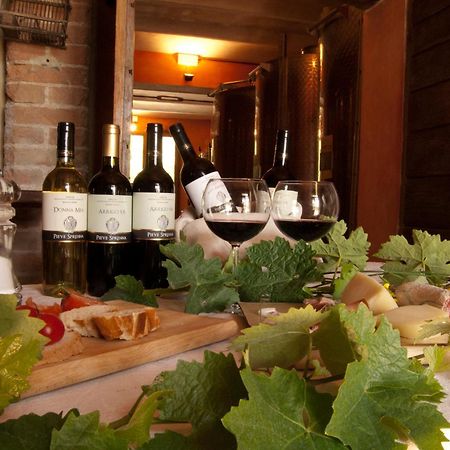 Agriturismo Pieve Sprenna Буонконвенто Екстериор снимка