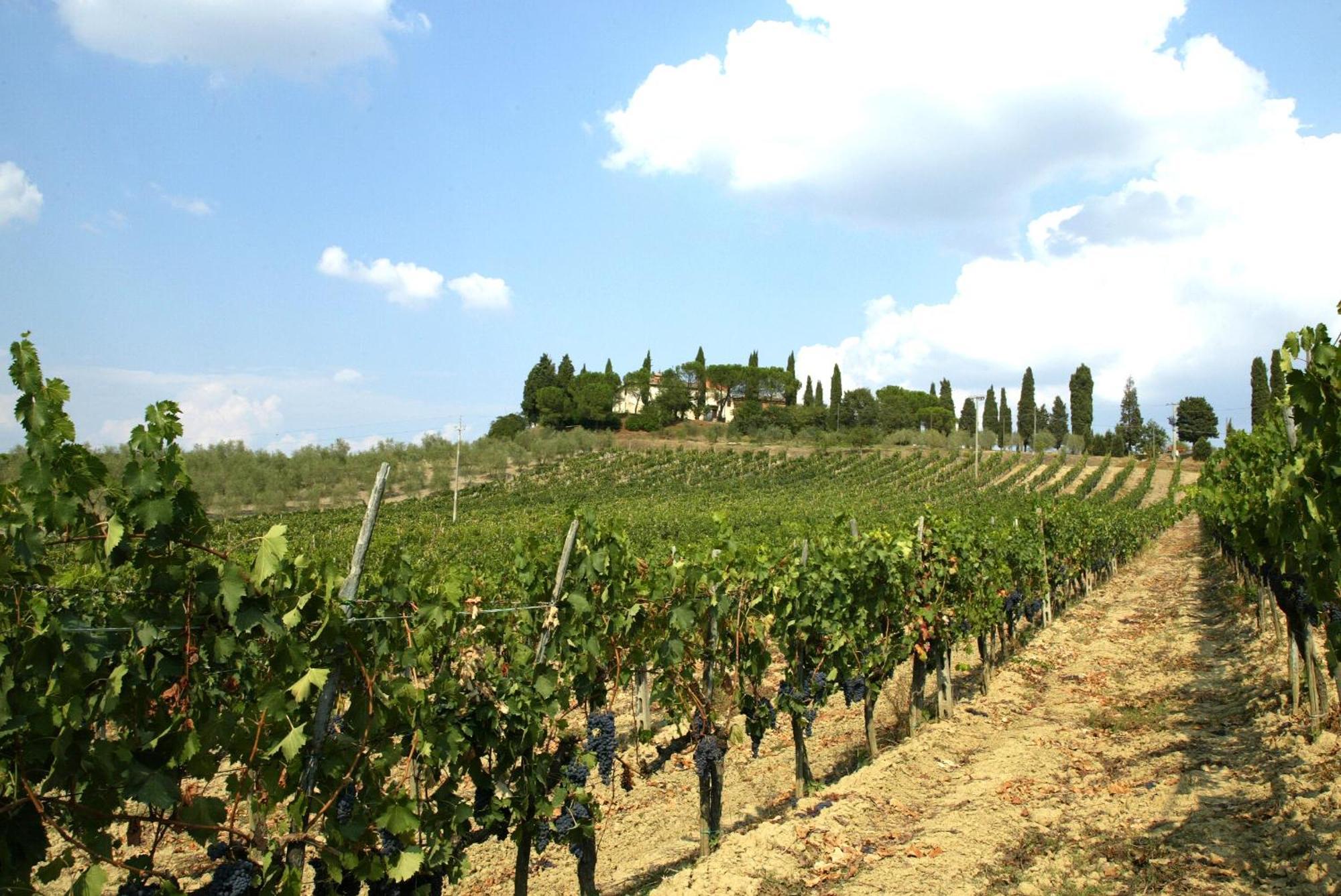 Agriturismo Pieve Sprenna Буонконвенто Екстериор снимка