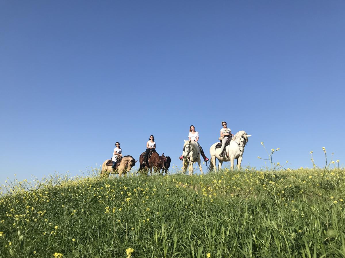 Agriturismo Pieve Sprenna Буонконвенто Екстериор снимка